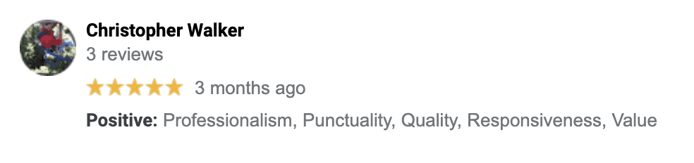 Customer Review from Review website